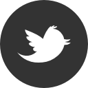 twitter logo